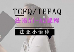 TCFQ/TEFAQA1-A2γ